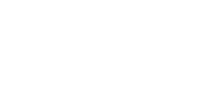 Logo_NewLifeCenters-rgb-white-primary