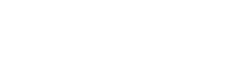 Leader Track logo