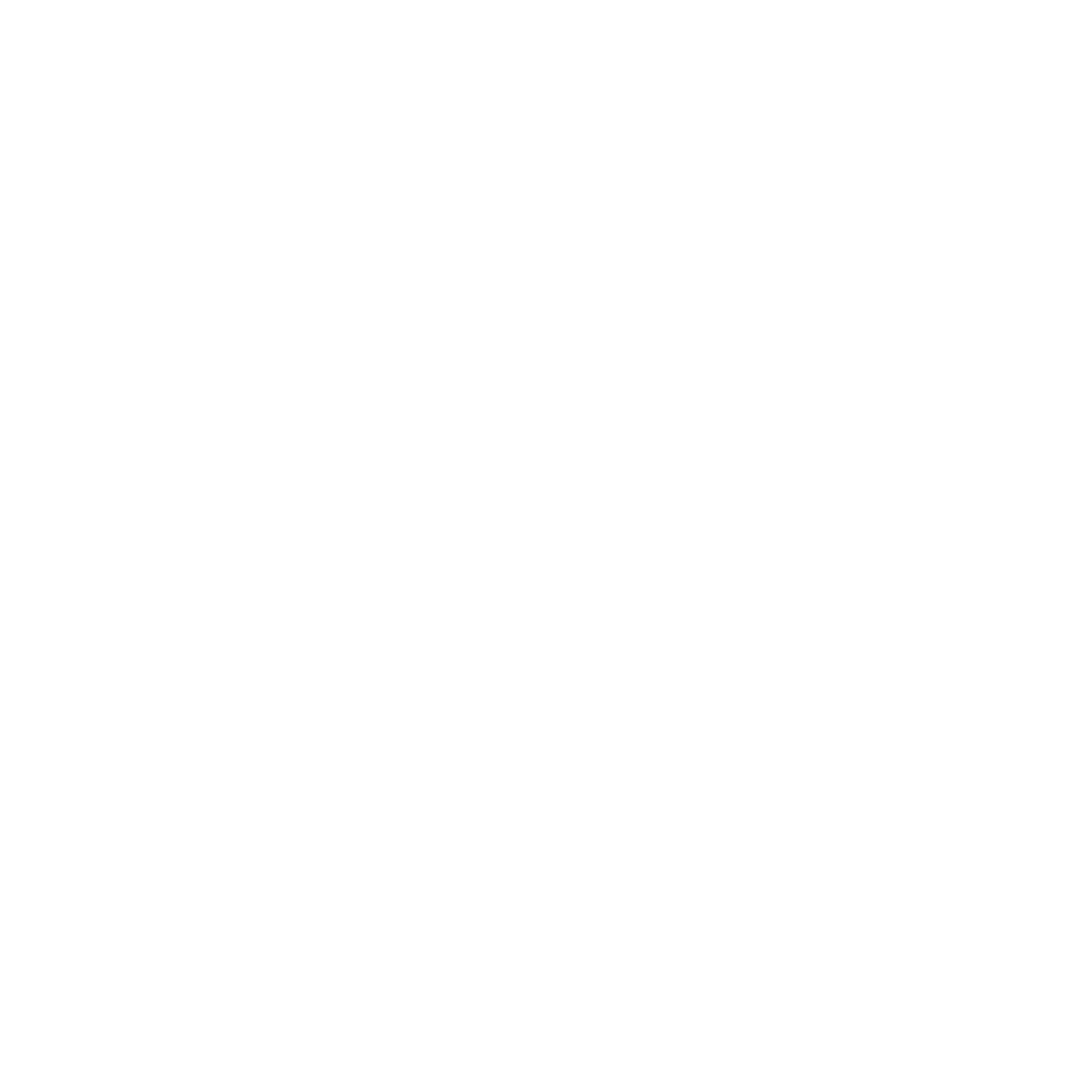 CHICAGO MAP